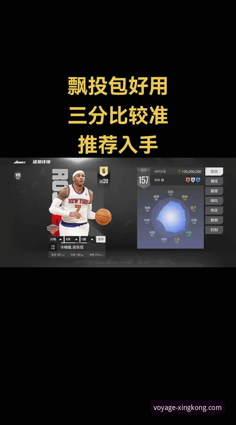 星空入口平台NBA赛事深度解析操作教程